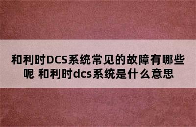 和利时DCS系统常见的故障有哪些呢 和利时dcs系统是什么意思